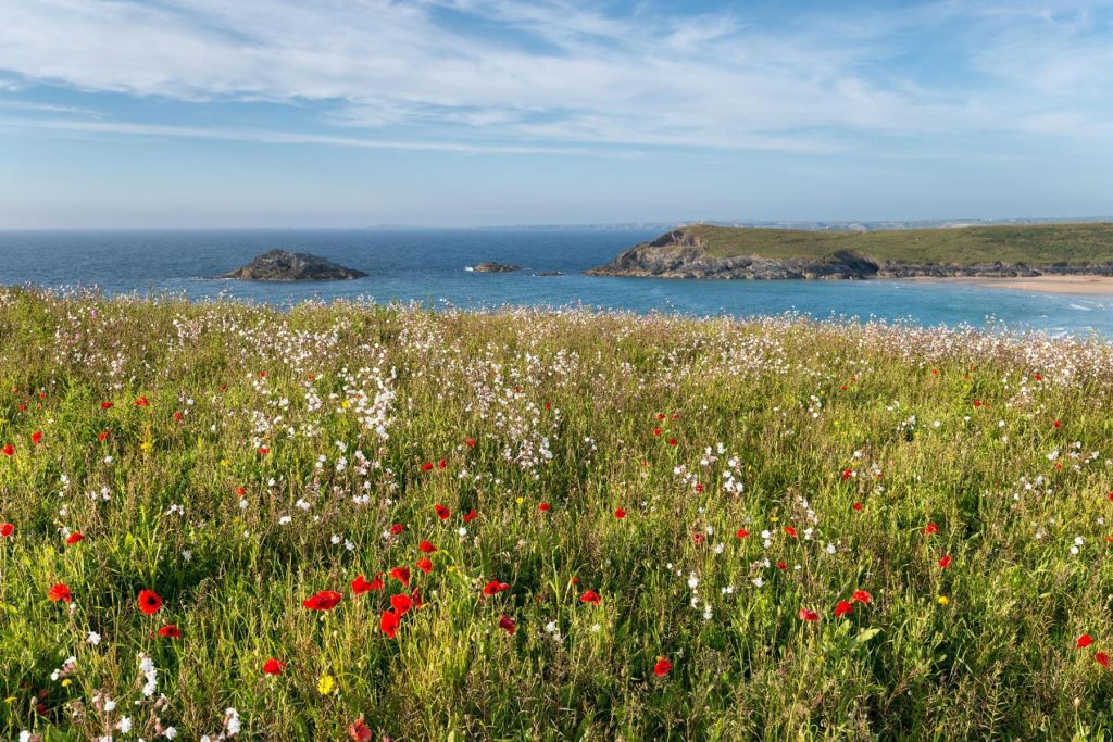 Co create architects newquay cornwall BNG design houses extensions