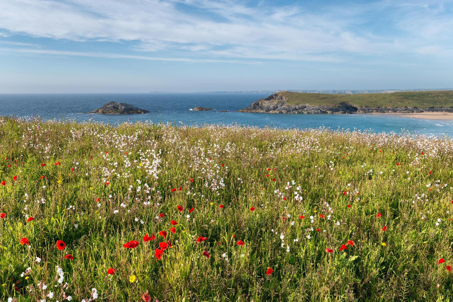 Co create architects newquay cornwall BNG design houses extensions